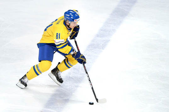 Sveriges Elias Fälth har fått nytt tröjnummer, tröja 81