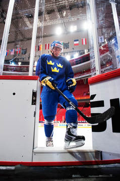 Loui Eriksson lämnar isen