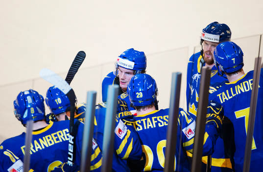 Sveriges Loui Eriksson gratuleras till sitt 0-2-mål i
