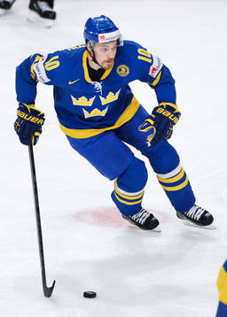 Johan Fransson, Sverige