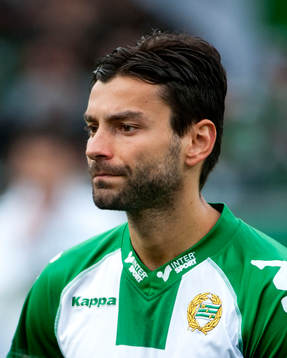 Adis Husidic, Hammarby