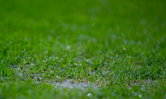 regn och lera på gräset