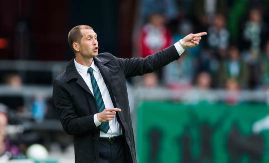 Gregg Berhalter, tränare Hammarby