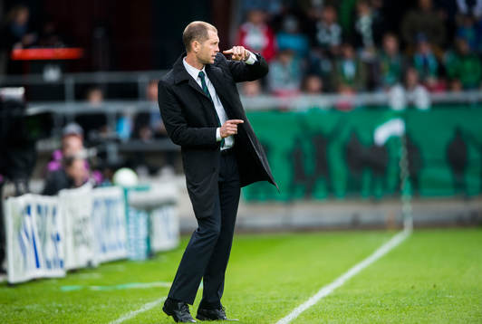 Gregg Berhalter, tränare Hammarby