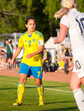 Malin Diaz Pettersson, Sverige
