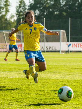 Malin Diaz Pettersson, Sverige