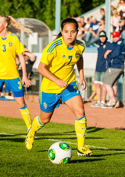 Malin Diaz Pettersson, Sverige