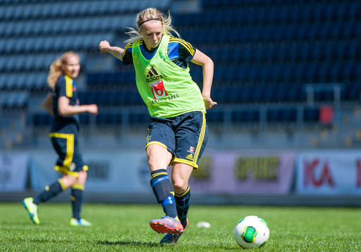 Amanda Ilestedt, Sverige