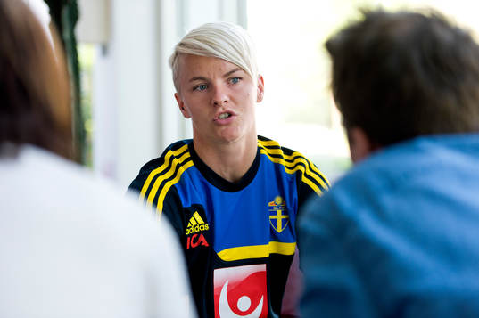 Nilla Fischer, Sverige
