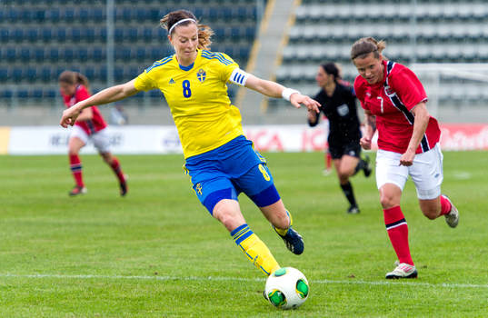 Lotta Schelin, Sverige