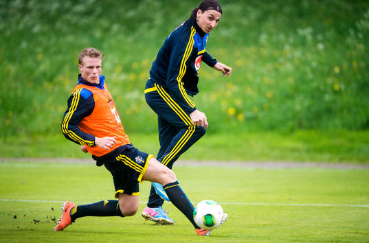 Oscar Hiljemark och Zlatan Ibrahimovic