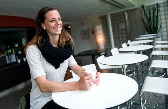 Lotta Schelin, Sverige