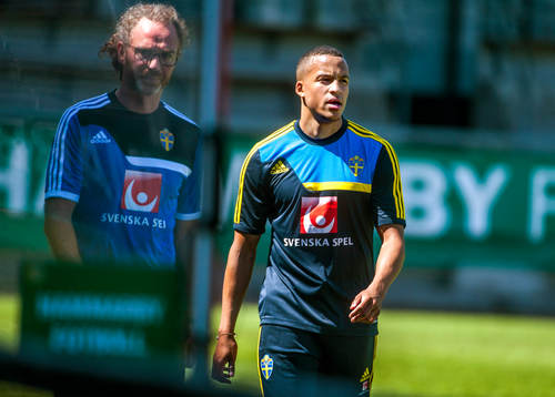 Martin Olsson, Sverige