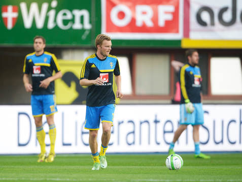 Sebastian Larsson, Sverige