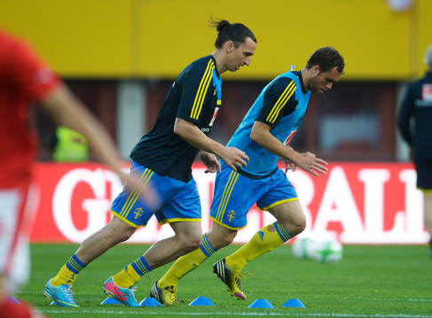 Zlatan Ibrahimovic och Johan Elmander, Sverige