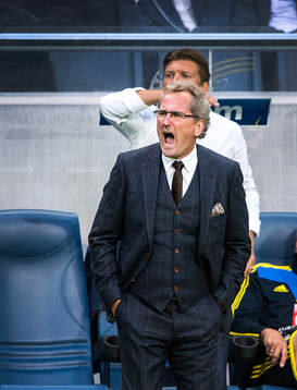 Erik Hamrén, förbundskapten, Sverige skriker på sina