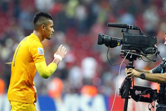 Victoire de la France  -  Alphonse Areola  - France