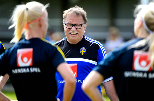 Sveriges läkare Yelverton Tegner