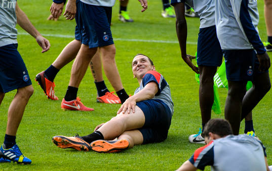 Zlatan Ibrahimovic ligger i gräset