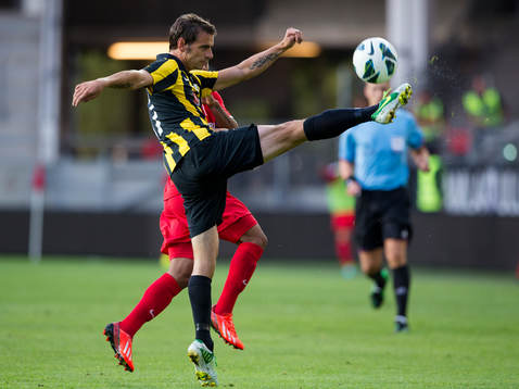 Häckens Björn Anklev