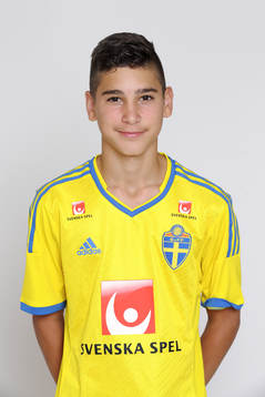Alfred Ajdarevic