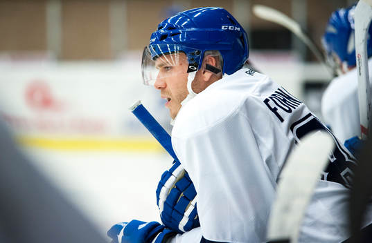 Bläddra bland fler bilder av Ishockey, SCA-Cupen, Timrå - Leksand