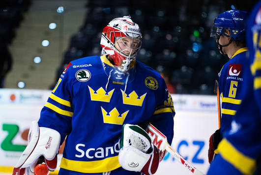 Sveriges målvakt Linus Ullmark deppar