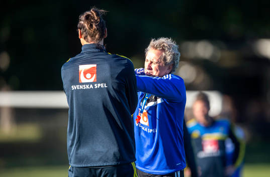Sveriges Förbundskapten Eriks Hamrén skojar med Zlatan