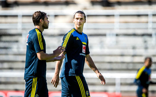 Sveriges Zlatan Ibrahimovic pratar med Johan Elmander
