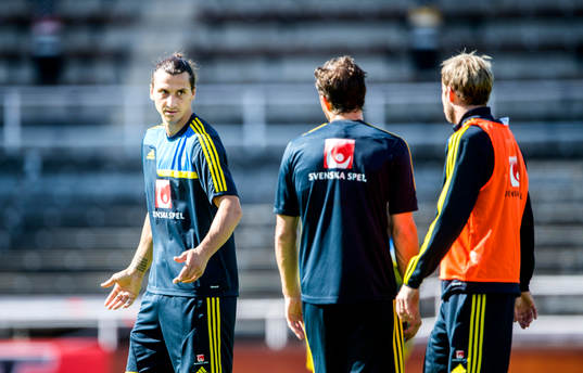Sveriges Zlatan Ibrahimovic pratar med Johan Elmander
