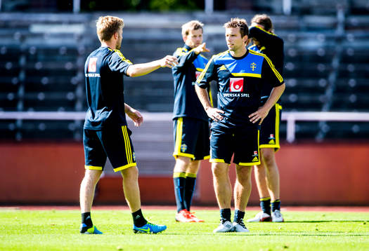 Sveriges Sebastian Larsson pratar med Anders Svensson