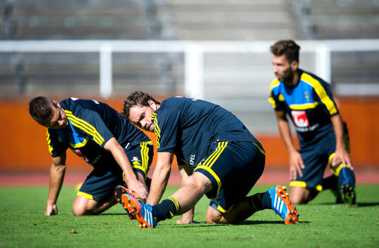 Sveriges Johan Elmander
