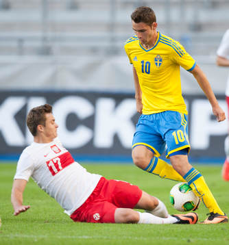 Branimir Hrgota, Sverige i EM-kvalmatchen mot Polen