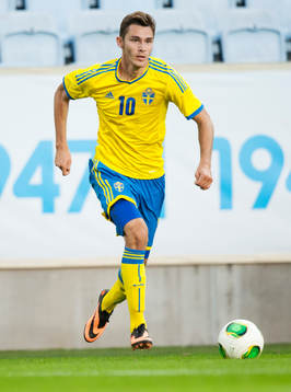 Branimir Hrgota, Sverige