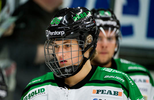 Rögles William Nylander