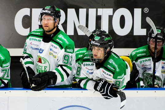 Rögles Michael Nylander och sonen William Nylander