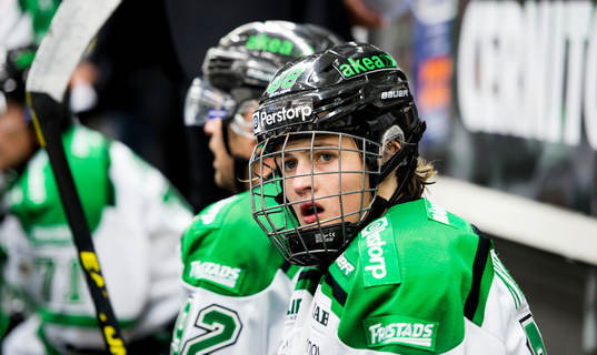 Rögles William Nylander