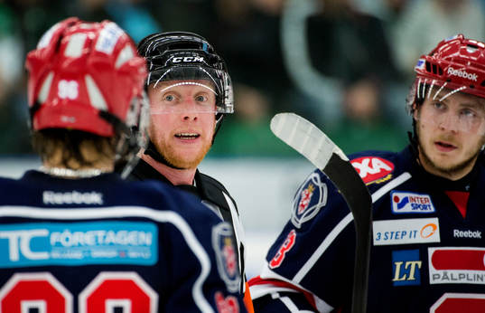 Domare Mikael Holm