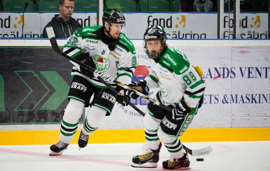 Rögles Michael Nylander och sonen William Nylander