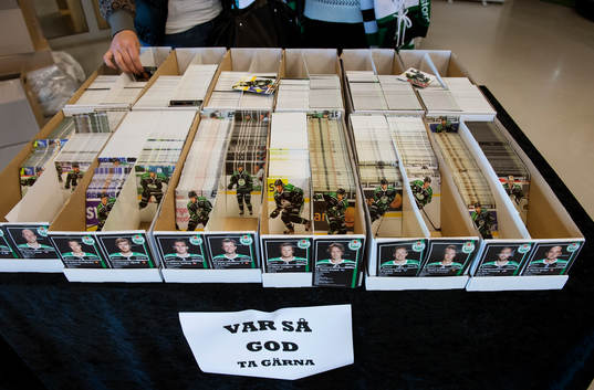 Idolbilder på Rögle