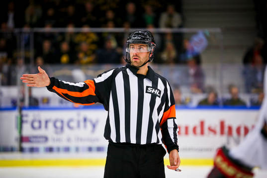 Domaren Mikael Sjökvist