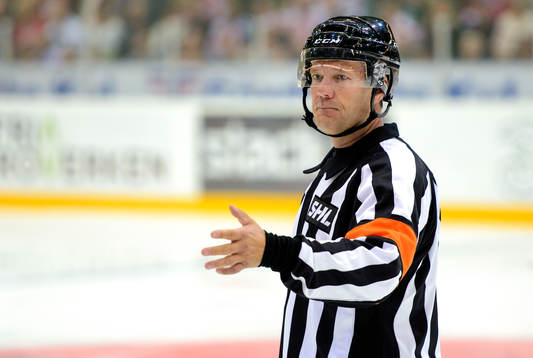 Domare Thomas Andersson