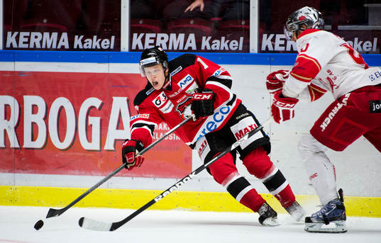 Malmö Redhawks Daniel Viksten
