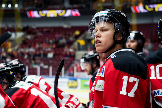 Malmö Redhawks Daniel Viksten