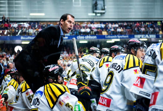 Jan Larsson, assisterade tränare för Brynäs