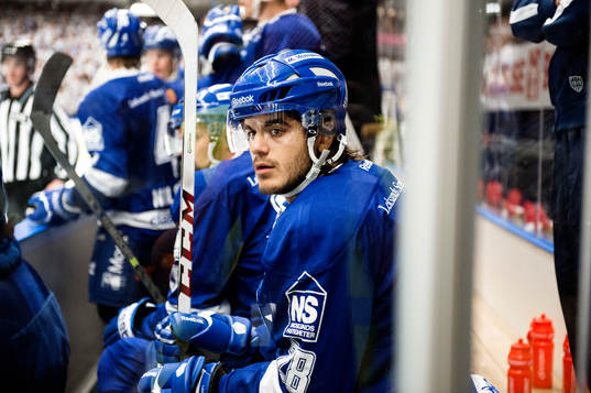 Leksands Almen Bibic