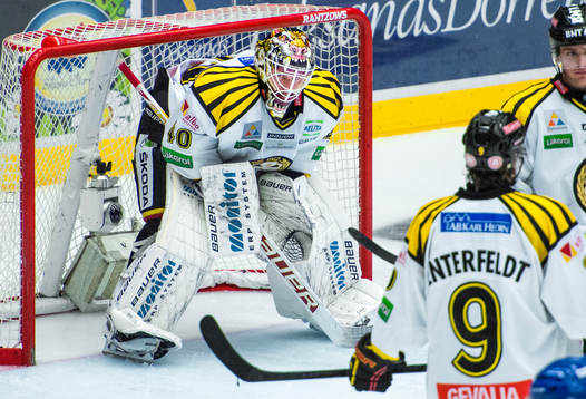 Brynäs Johan Holmqvist, målvakt