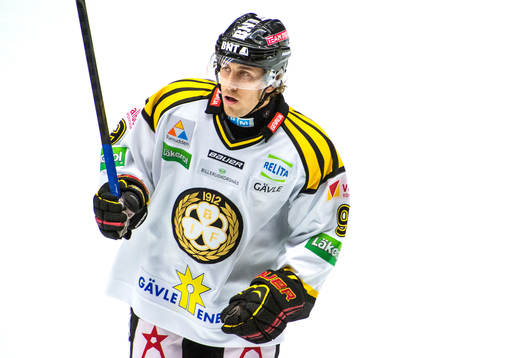 Brynäs Sebastian Enterfeldt