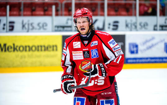 Almtunas Johan Berggren