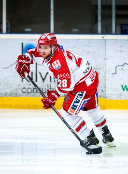 Timrås Wade Bergman